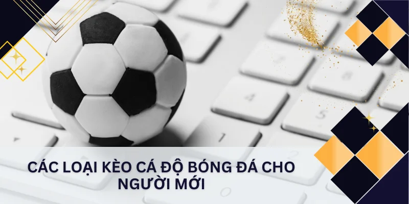 Các Loại Kèo Cá Độ Bóng Đá